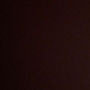 Meet your Posher, Randy